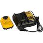 dewalt_dce089d1r_qw