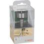 bosch_2609255291