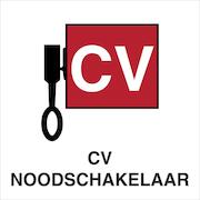brady_803526