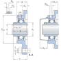 skf_ucf204h_2