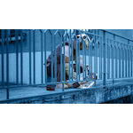 bosch_2608900531_6