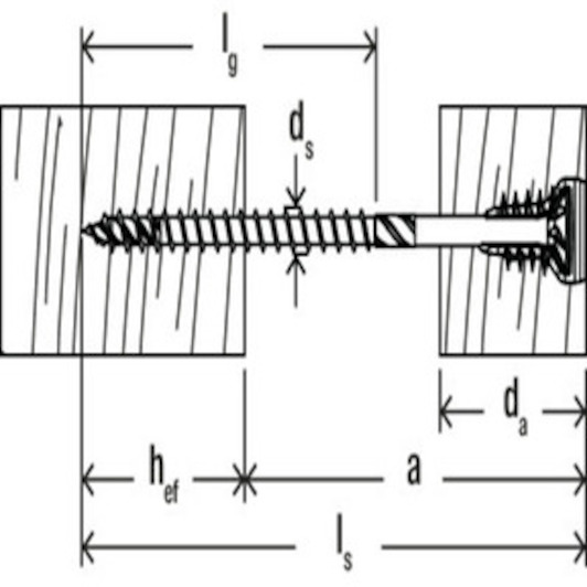 fischer_558882_6