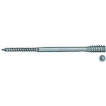 fischer_59064
