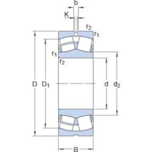 skf_22236ccc2w33_2
