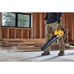dewalt_dcmbl562p1_qw