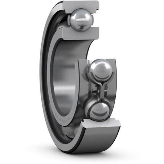 skf_w6304