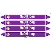 brady_n003912