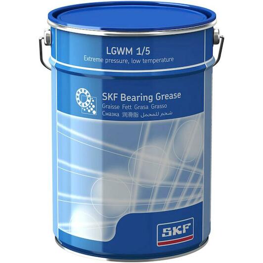 skf_lgwm15