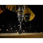 dewalt_dt4773_qz