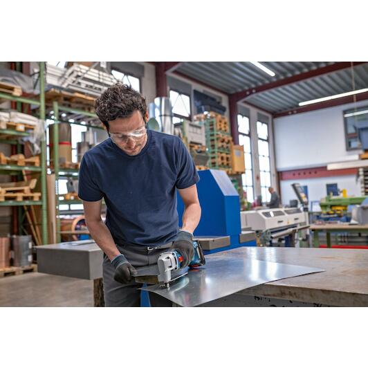 bosch_0601926301