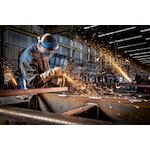 bosch_06018f4100