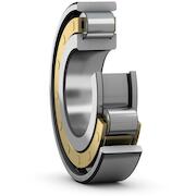 skf_n319ecm