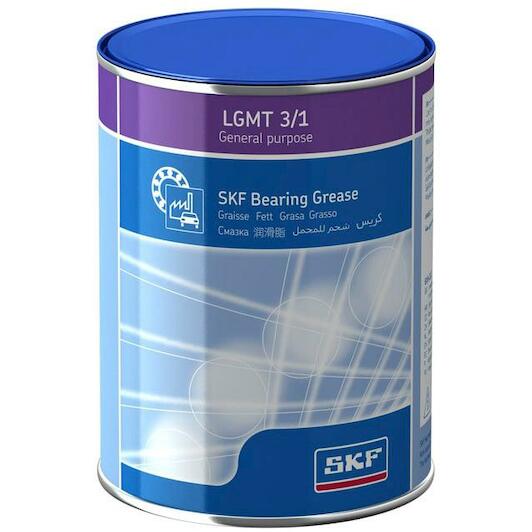 skf_lgmt31