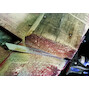 bosch_2608659007_7