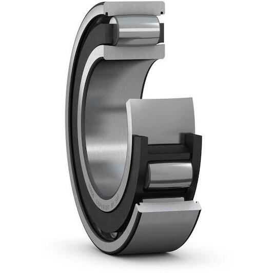 skf_c4010tn9