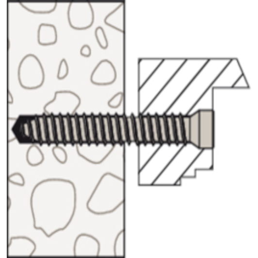 fischer_532912_6
