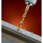 dewalt_dt5061_qz