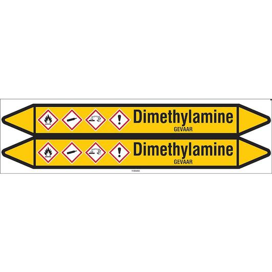 brady_n004202