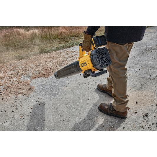 dewalt_dcmbl562n_xj