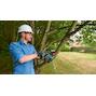 bosch_06008b8000