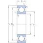 skf_6213hc5c3_2