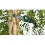 bosch_06008b3100