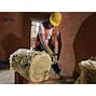 dewalt_dt2979_qz
