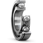 skf_6007n