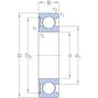 skf_6008_rs1_2