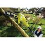 ryobi_5133002228