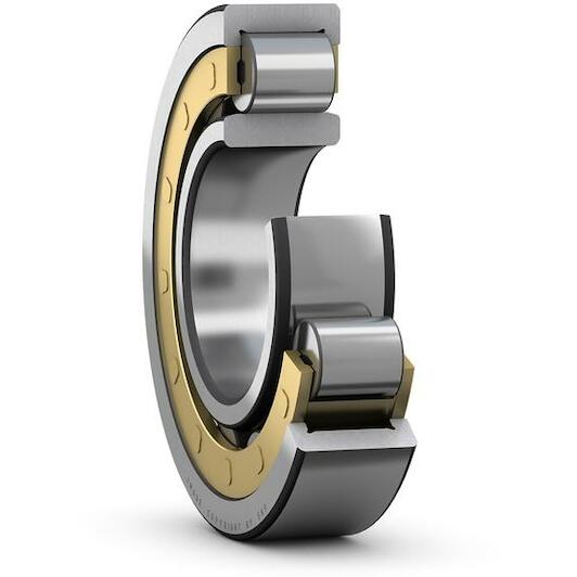 skf_nu2218ecmc3