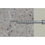fischer_536866_9