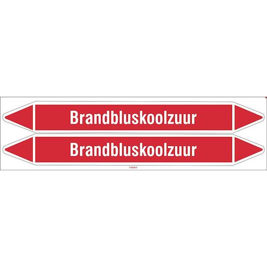 brady_n003991