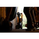 dewalt_dcmwsp156w2_qw