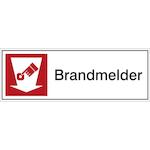 brady_227854