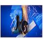 pferd_65508100_3