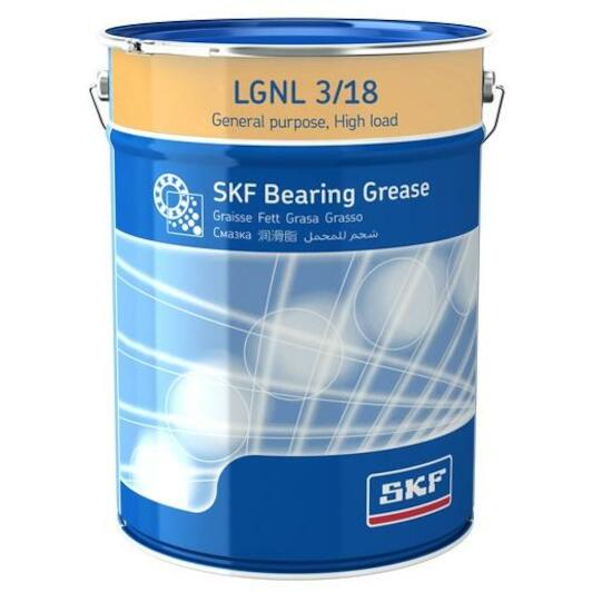skf_lgnl318