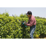 makita_uh7580