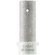 carat_ehm0200656