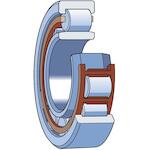 skf_srvnu409