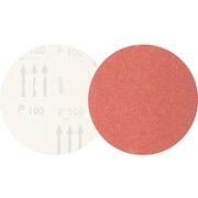 pferd_45017763