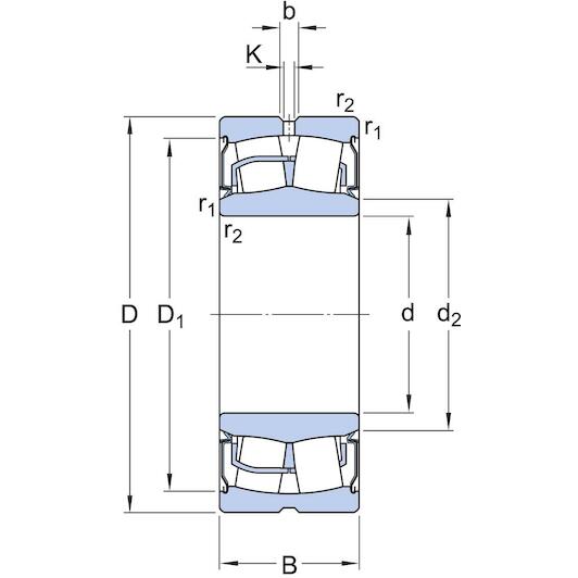 skf_bs2_2209_2rsvt143_2
