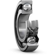 skf_6006_rs1