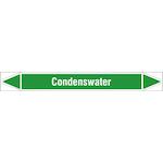 brady_n005831