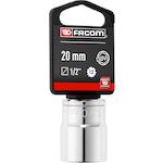 facom_s20pb