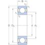 skf_6013_2z_2