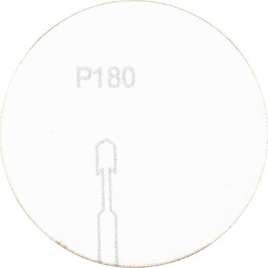 pferd_42871118_2