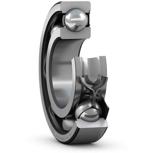 skf_6007_rs1