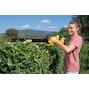 karcher_14442400_7