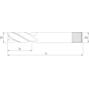 phantom_342041800_2